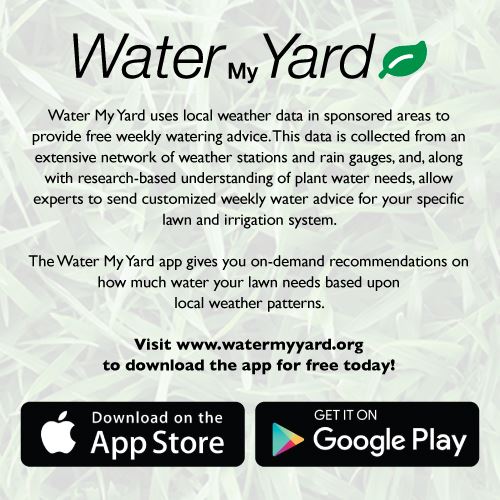 water_my_yard_graphic